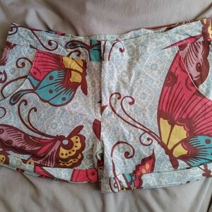 Judith March butterfly print shorts